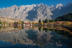 pexels-wasifmehmood997-19442078